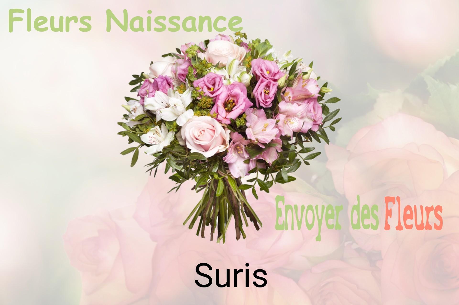 Bouquet de fleurs de naissance livré à Suris
